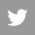 Twitter icon